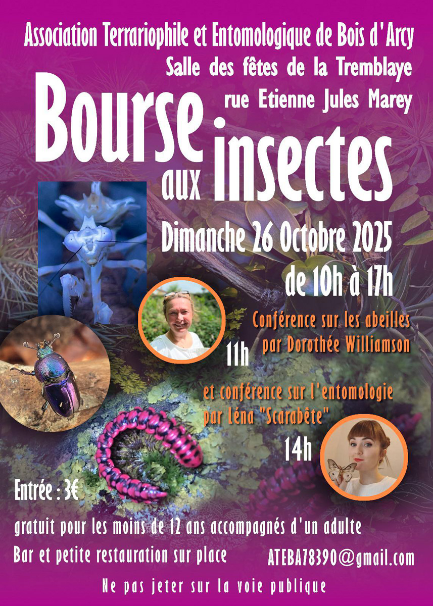 Bourse aux insectes