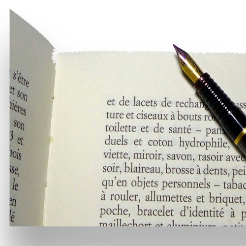 Plume en voix