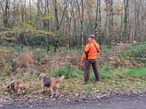 prudence action chasse prudence action chasse