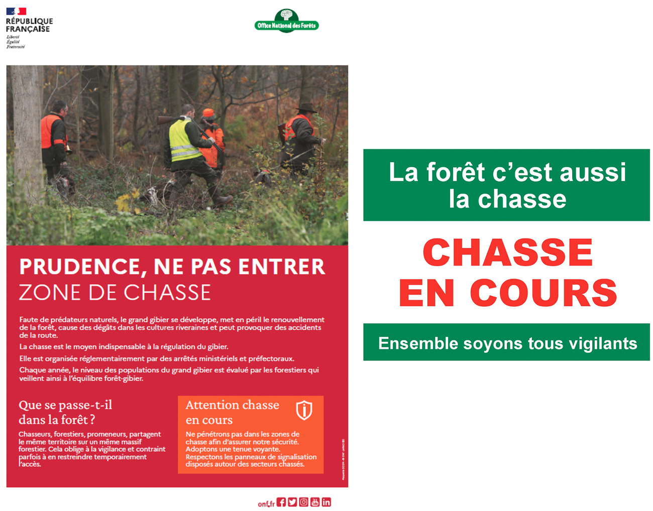 jours chassés en forêt domaniale